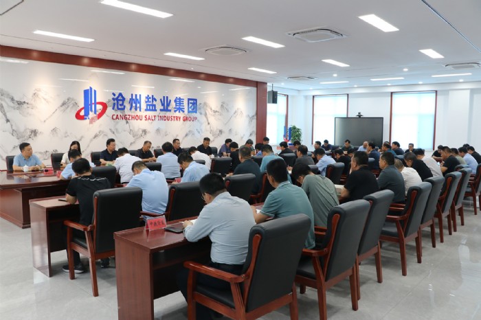 公司黨委組織召開干部大會